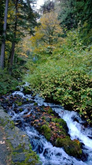 PORTLAND - WATERFALL AND FUN .......WP_20131019_11_39_34_Pro